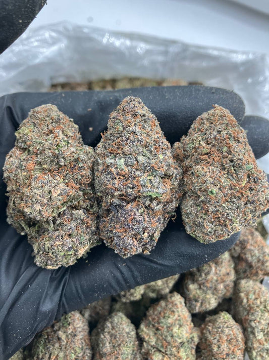 Peach Gummy x Gelato 🍑