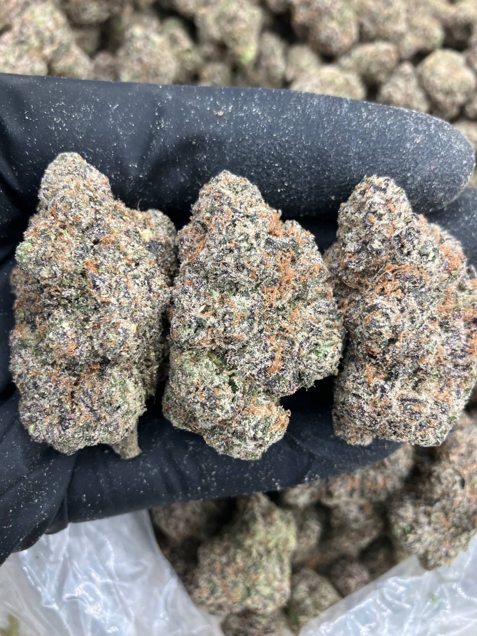 Purple Fire Runtz 🔥