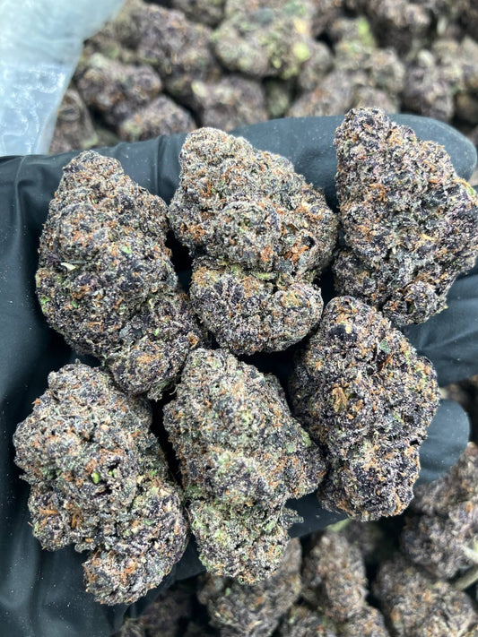 Pink Champagne