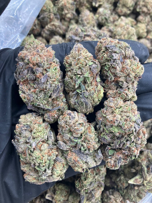 Purple Gumball