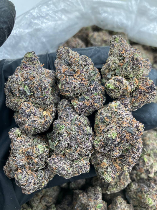 Pink Nerdz x LCG