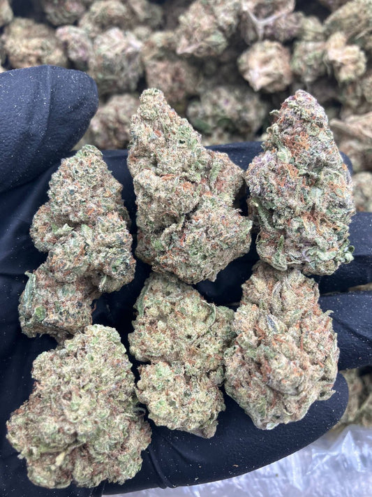 Purple Octane ⛽️