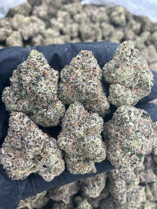 Pop Rockets 🚀
