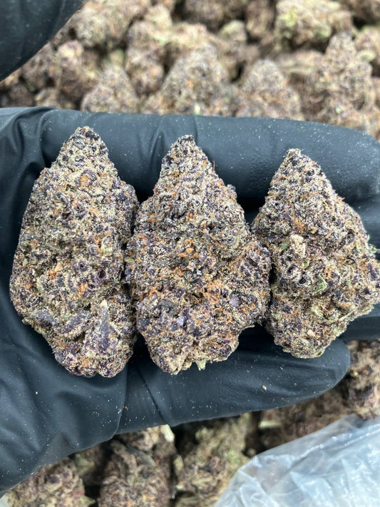 Purple Blizzard