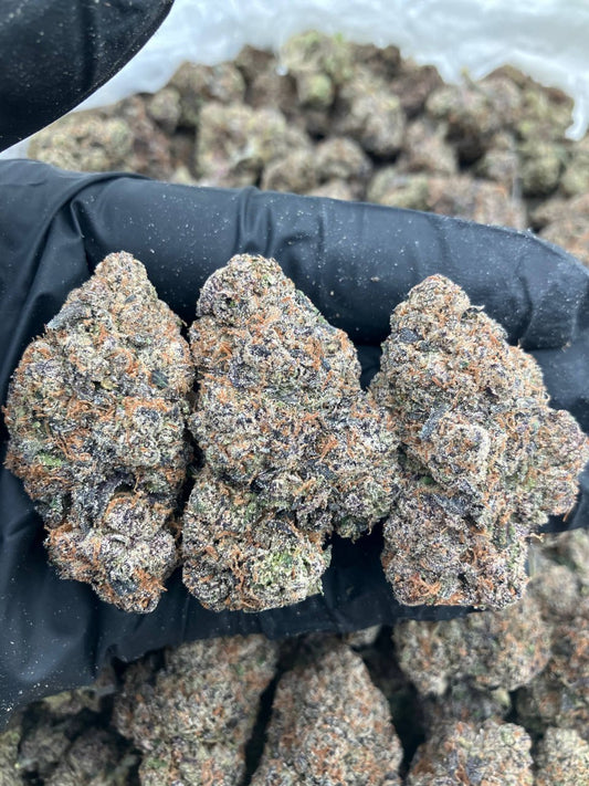 Purple Frostbite