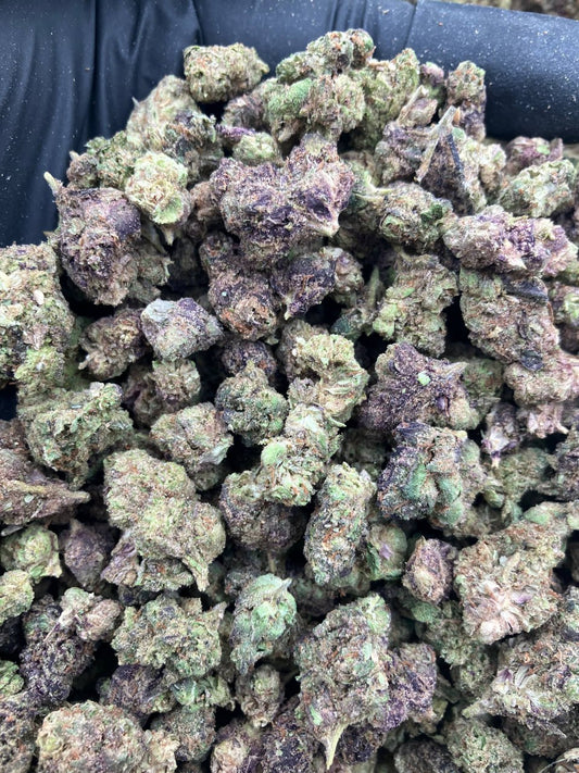 Purple Novacane (Smalls)