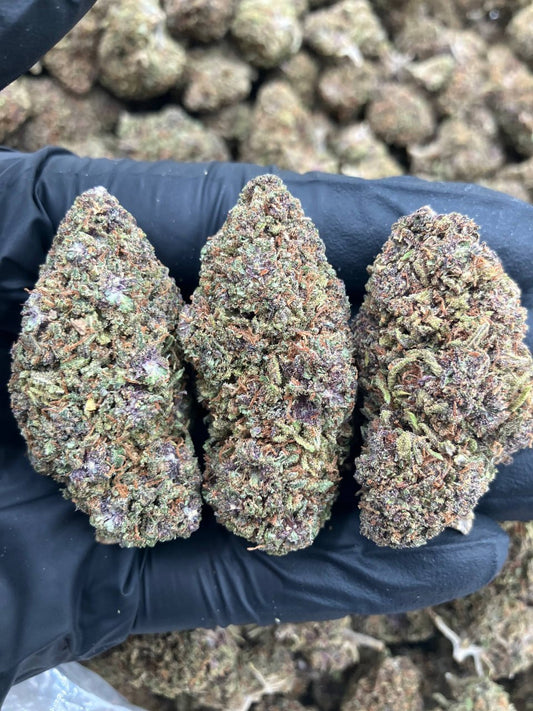 Purple Punch