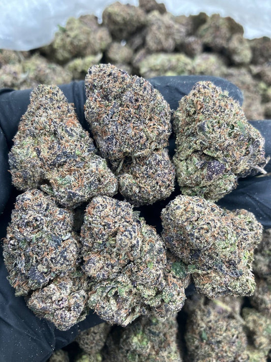 Purple Starburst