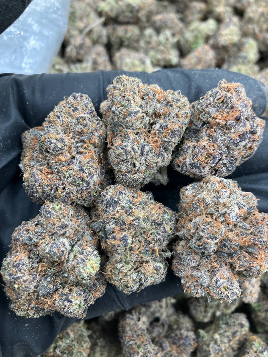 Purple Zelato