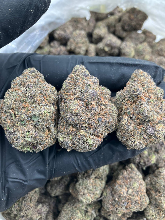 Rainbow Starburst