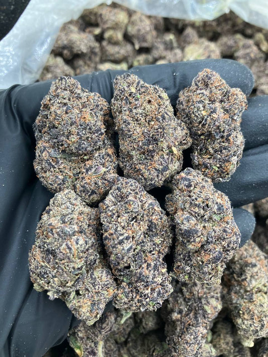 Rainbow Zlushiez