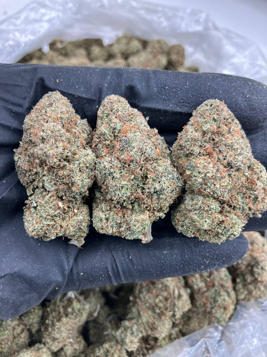 Red Champagne 🍾