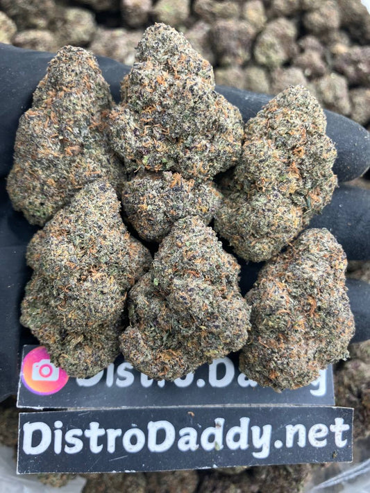 Red Bull Gelato 🪽