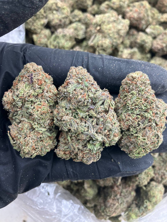 Rocket Fuel