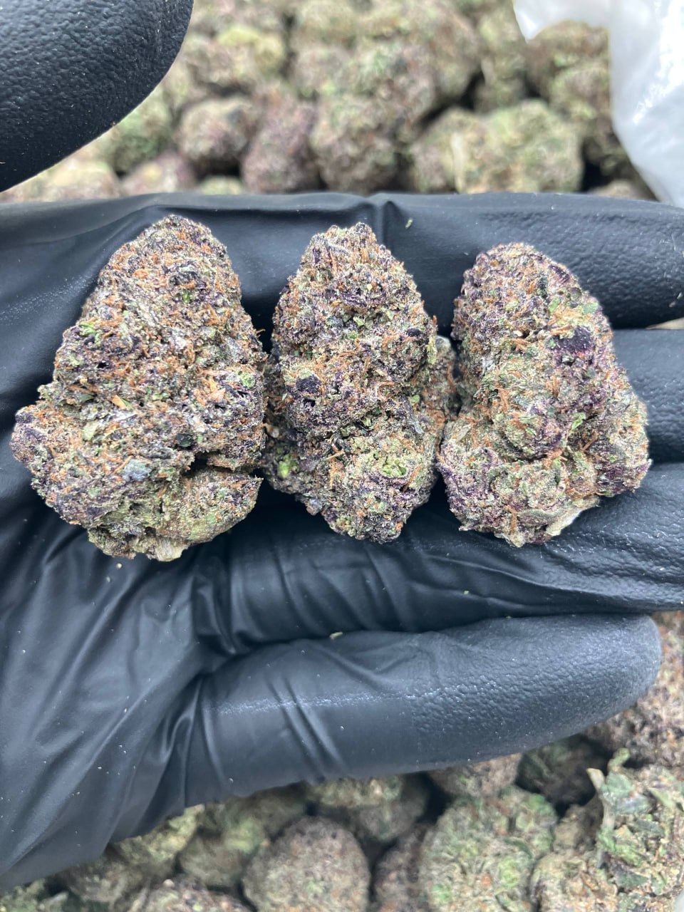 Raspberry Runtz 🏀