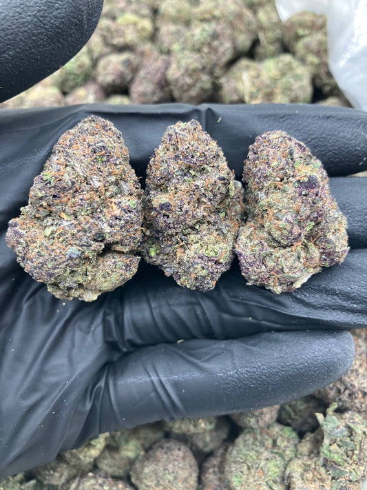 Raspberry Runtz 🏀