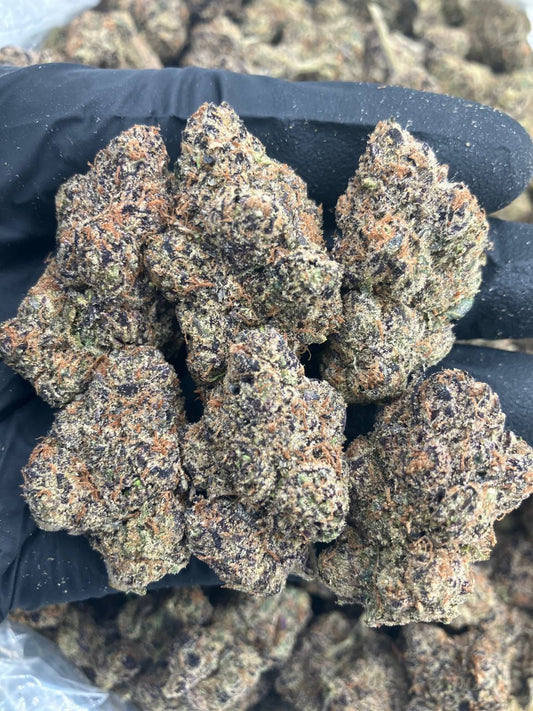 Rainbow Zlushies 🫠