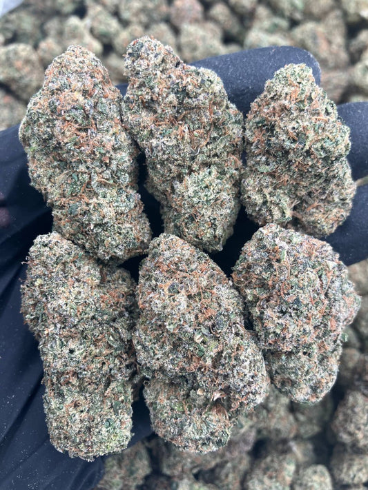 Sleezy Candy 🦥