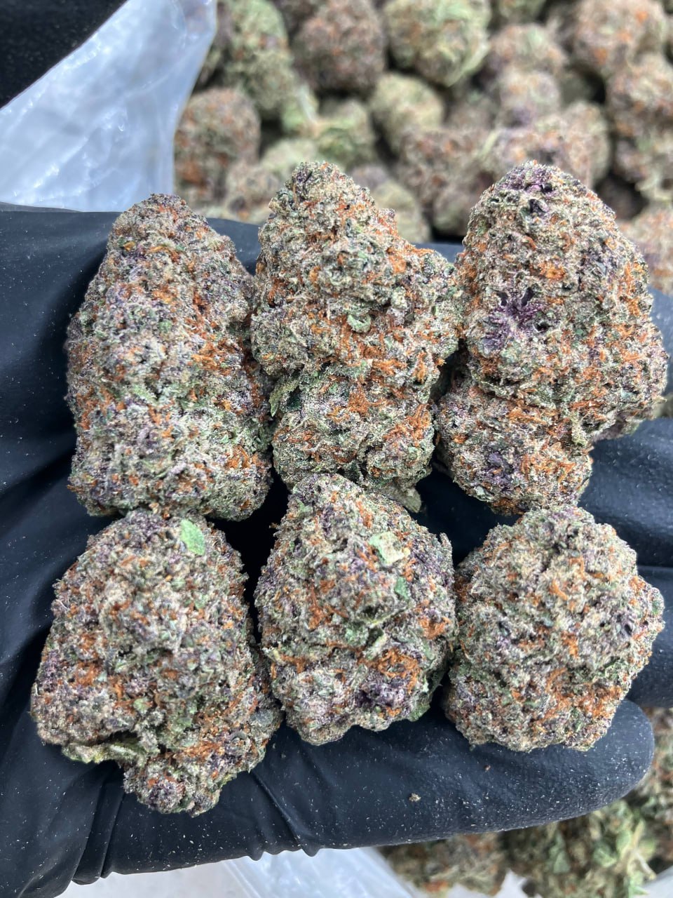 Straciella Gelato 🍦