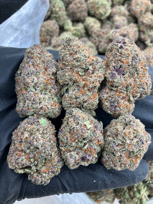 Straciella Gelato 🍦