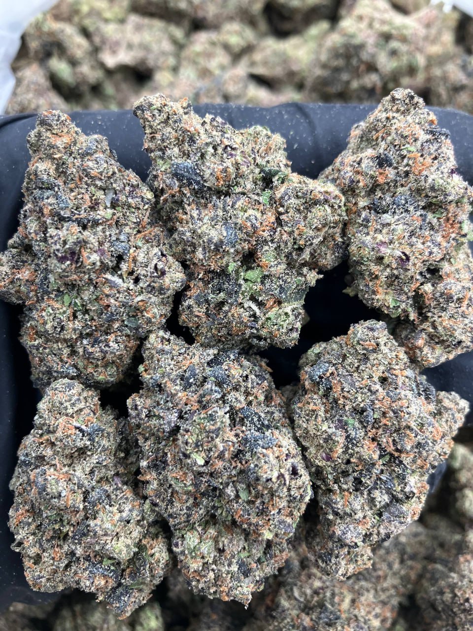 Skittlez x Candy Rain