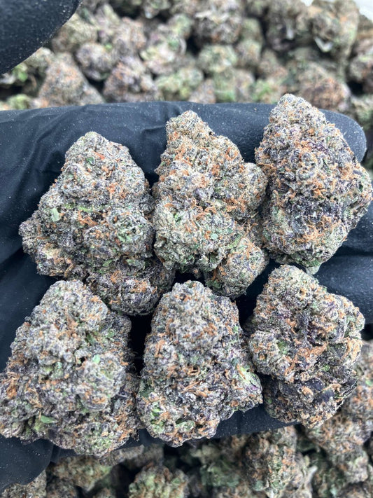 Sour Lemon Larry😼