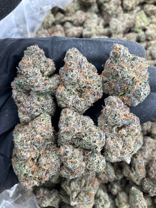 Slurricane x Runtz 🤤