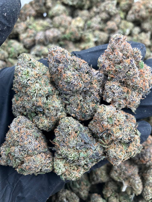 Sour Belt x Gelato
