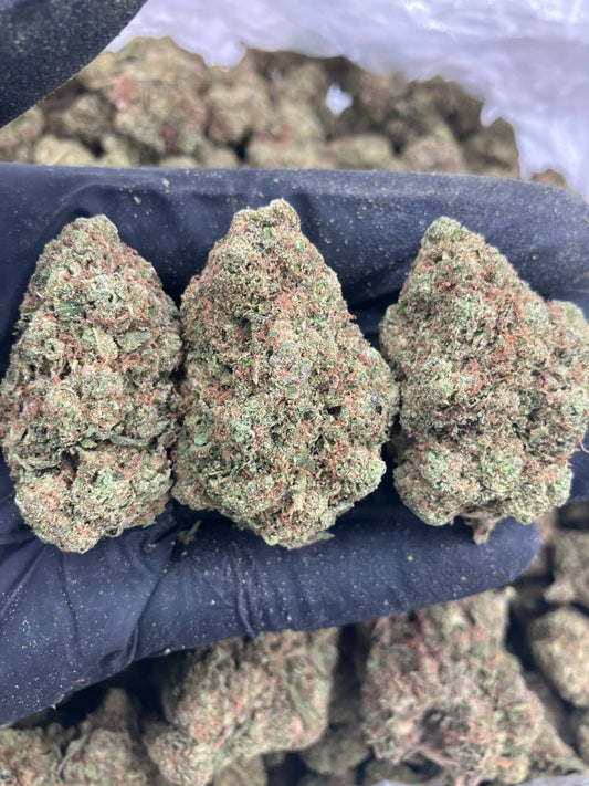 Scat Pack 🐝