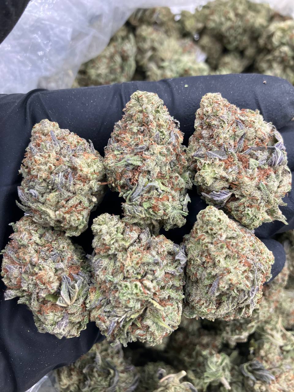 Strawberry Creme
