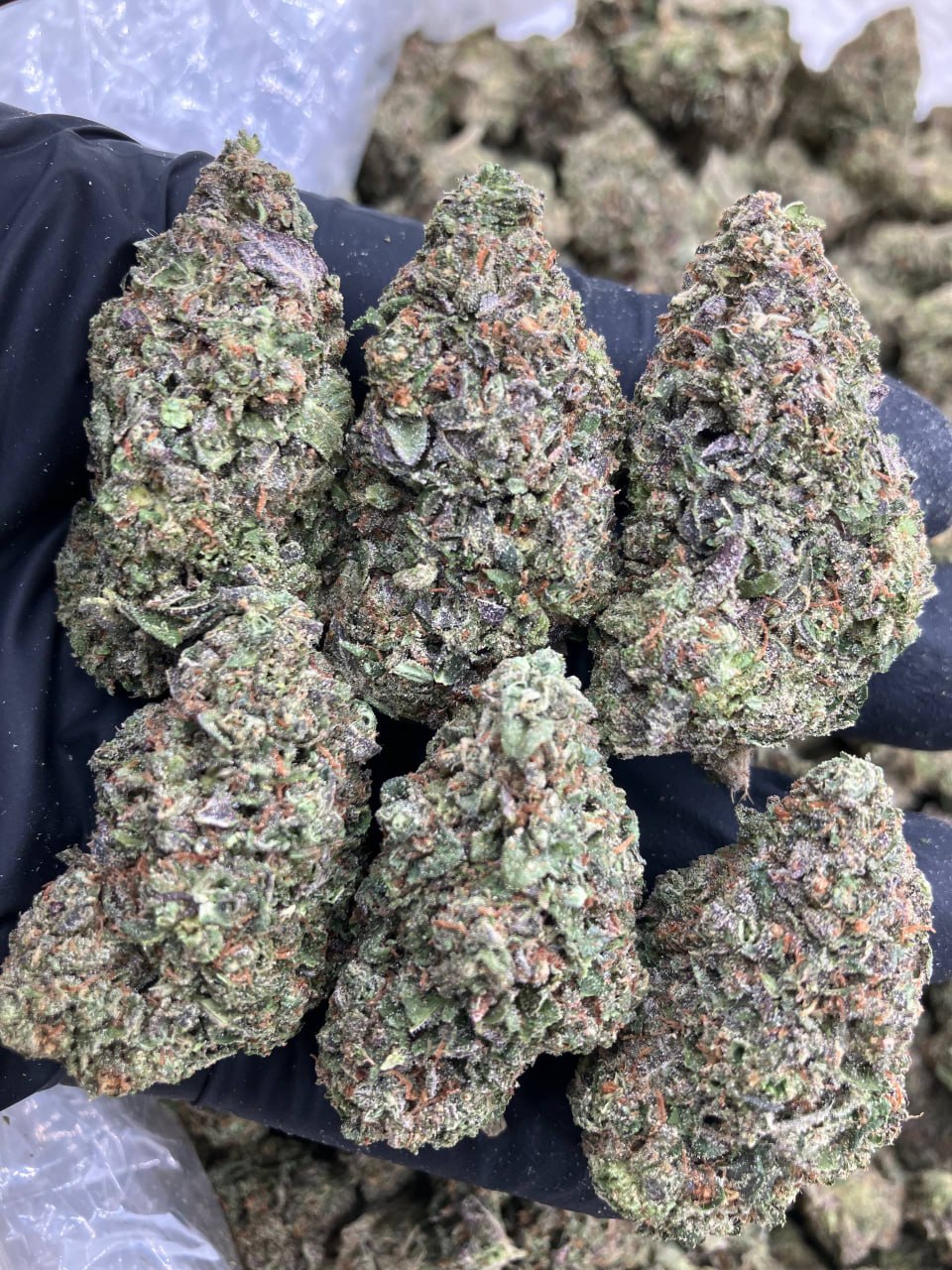 Strawberry Gelato