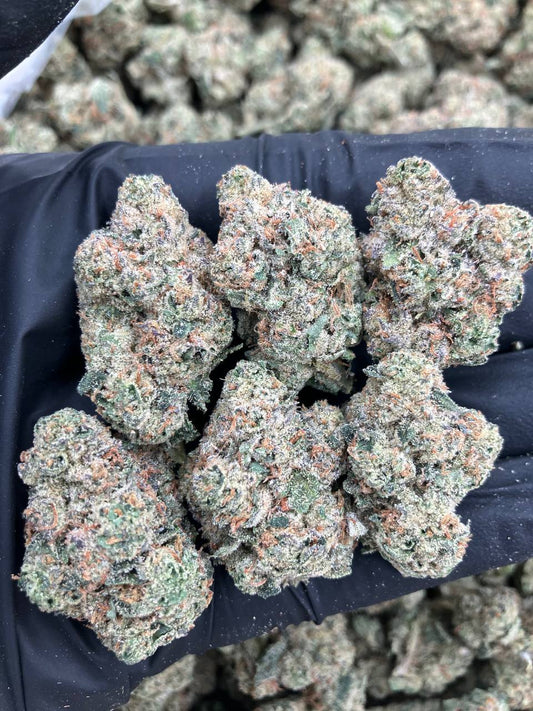 Supreme Gelato