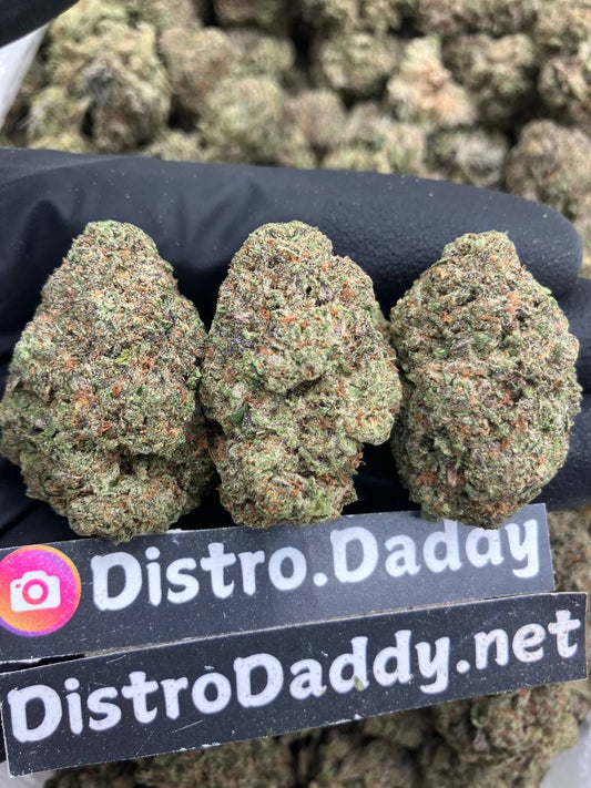 Watermelon Drop 🍉