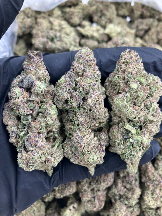 Watermelon Gushers