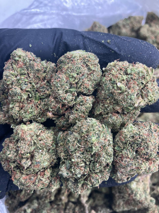 Wawa Fuel ⛽️