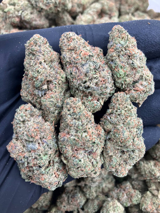 White Gumbo 🤍