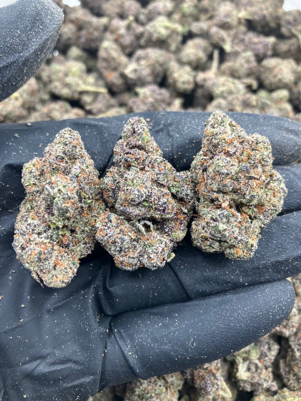 Waffle House Gelato 🧇