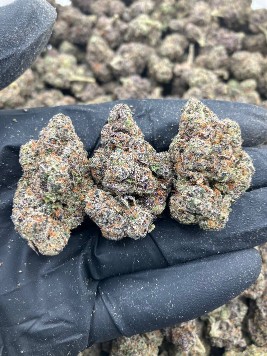 Waffle House Gelato 🧇