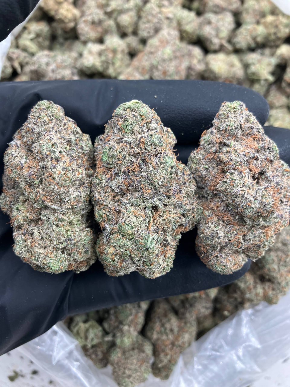 Wedding Smashers 💍