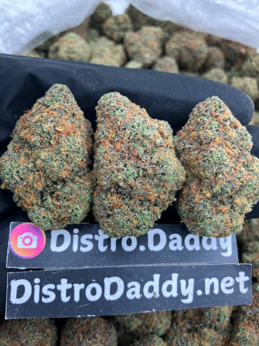 Zkittlez 🌈