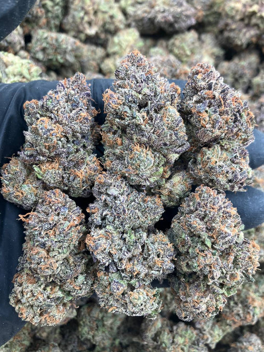Zoap x Rainbow Beltz
