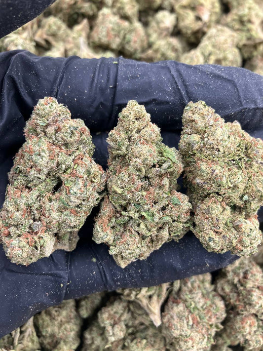 Zour Zlushiez
